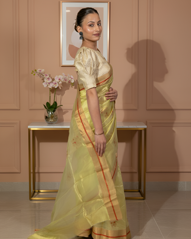 Light Leafy Green Mashroo Silk Chanderi Silk Saree with Bird Motifs With Blouse Piece