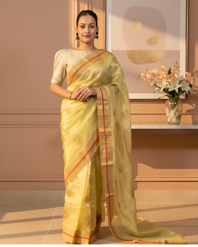 Light Leafy Green Mashroo Silk Chanderi Silk Saree with Bird Motifs With Blouse Piece