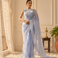 Delicate Blue Pure Organza Silk, Embroidered with White & Silver Thread, with the Lace Border