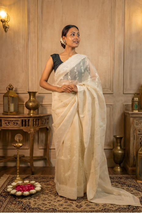 Delicate Cream Organza Saree, Embroidered with White And Silver Thread, Lace Border With Blouse Piece
