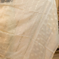 Delicate Cream Organza, Embroidered with White And Silver Thread, Lace Border