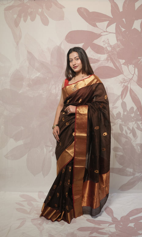Walnut Brown Red And Gold Border And Palla Chanderi Silk Saree
