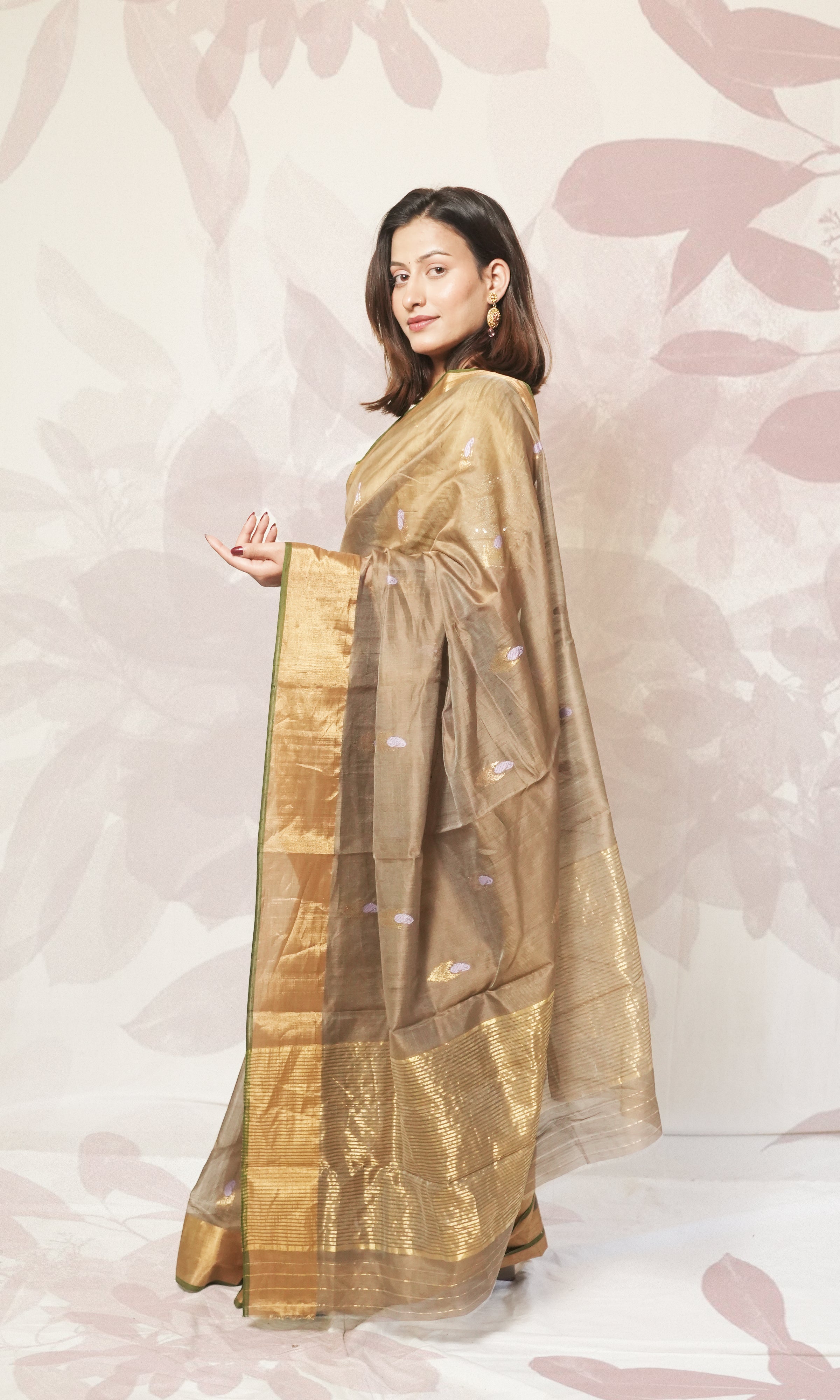 Mud Gray With Gold Border Chanderi Silk Saree