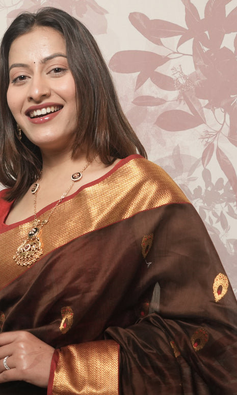Walnut Brown Red And Gold Border And Palla Chanderi Silk Saree
