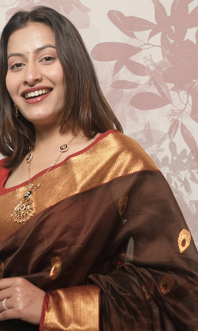Walnut Brown Red And Gold Border And Palla Chanderi Silk Saree