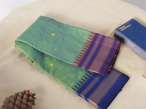 Mint Green, Blue Purple Ganga Jamuna Border Kanchi Cotton Saree